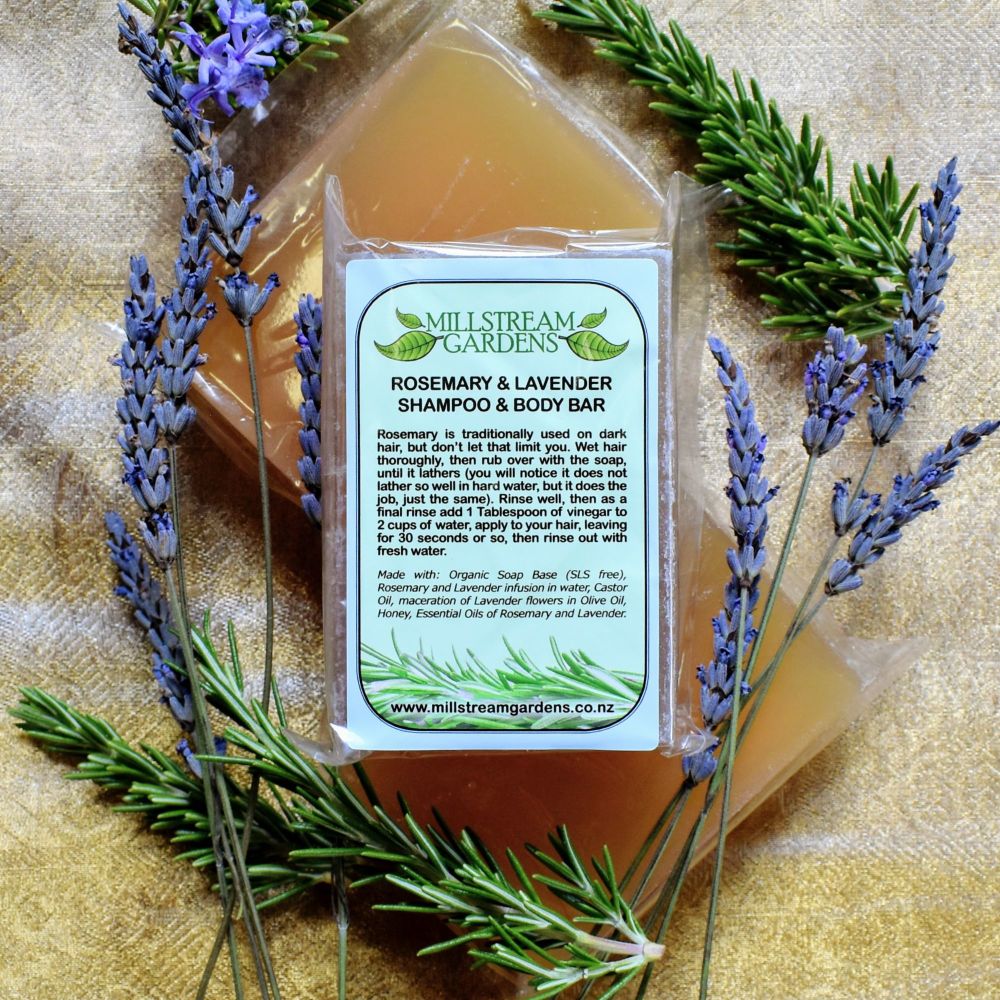Shampoo and Body Bar: Rosemary & Lavender