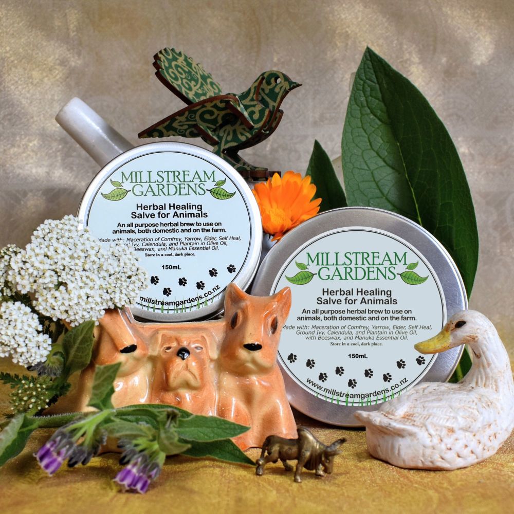 Herbal Healing Salve For Animals | Millstream Gardens
