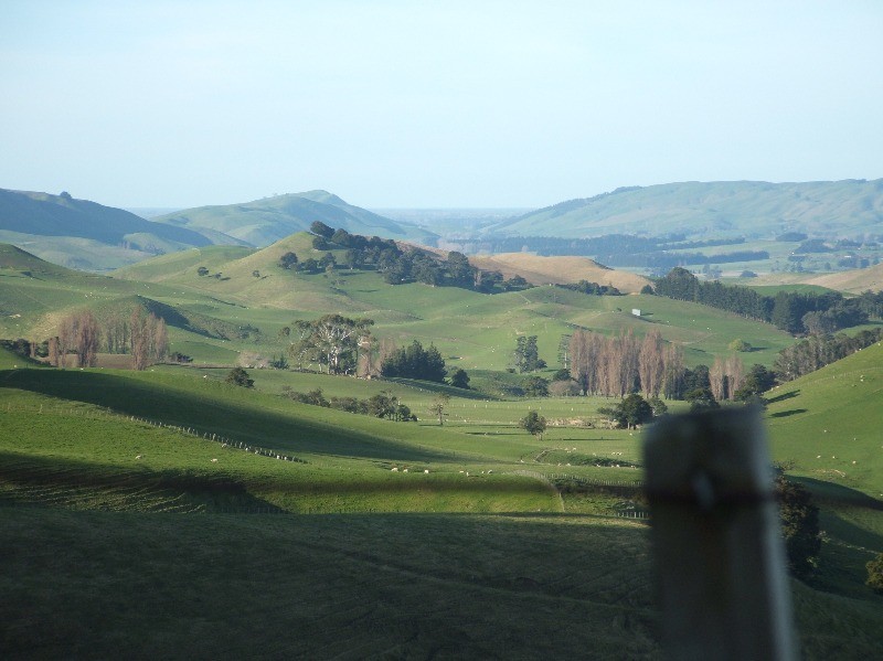 to Millstream Gardens Natural Products & Remedies