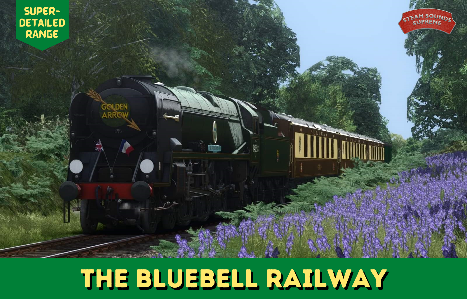 Bluebell-SD13.png
