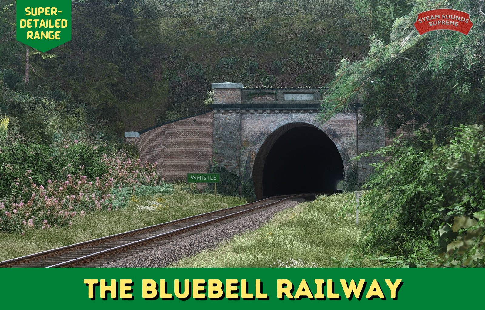 Bluebell-SD36.png