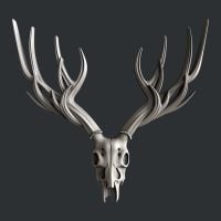 Deer head Skull medium
