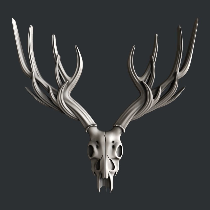 Deer head Skull Large