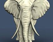 "Bodhi" Elephant