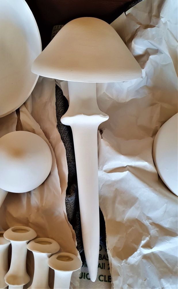 Mushroom Medium pointy