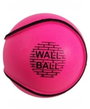 sliotar wall ball pink