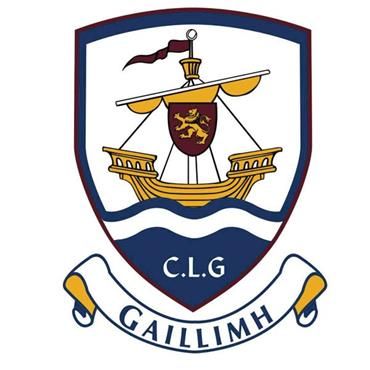 Galway GAA Flag