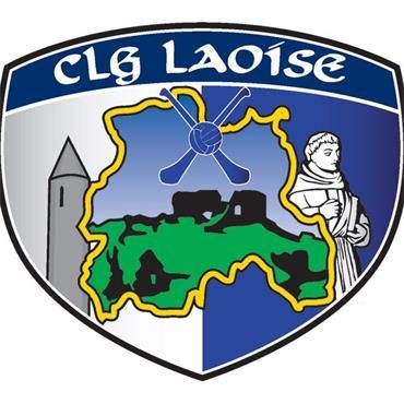 Laois GAA Flag