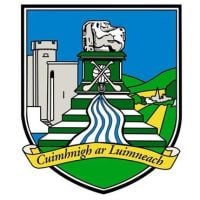 Limerick GAA Flag