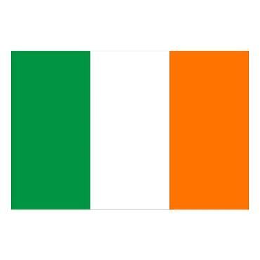 Irish Tricolour 12" x 18"