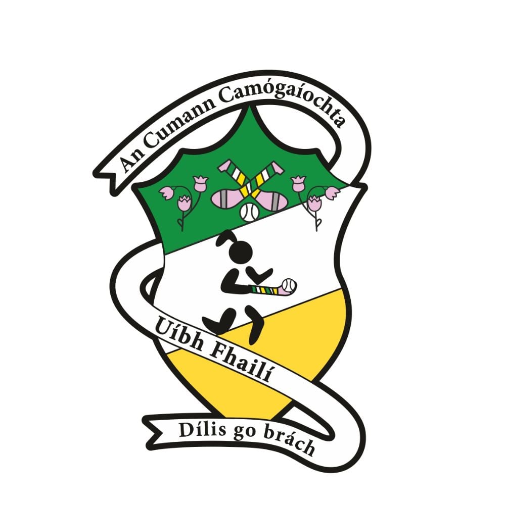 Offaly  Camogie