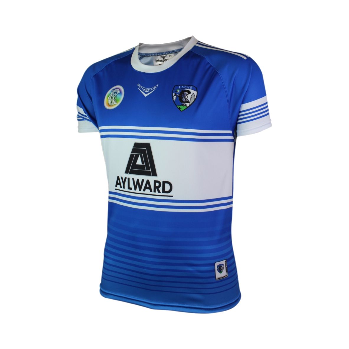 JERSEYS PHOTO GALLERY - LAOIS CAMOGIE.jpg