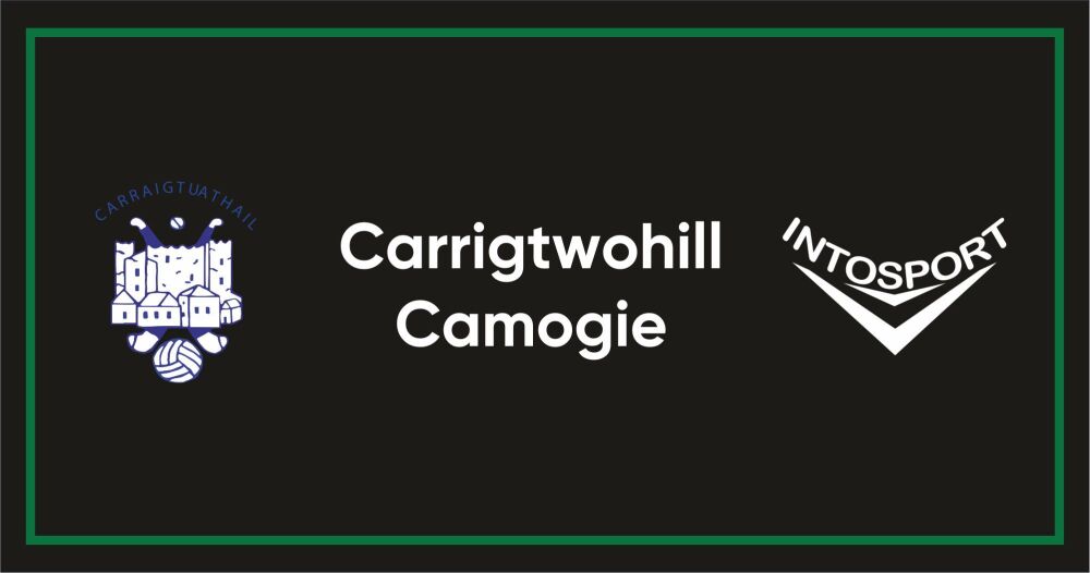 CARRIGTWOHILL CAMOGIE - CORK- ONLINE SHOP BUILD scommonm header