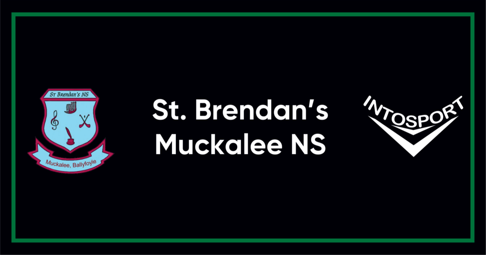 MUCKALEE-NS---KILKENNY---CLUB-SHOP-STANDARD-BANNER
