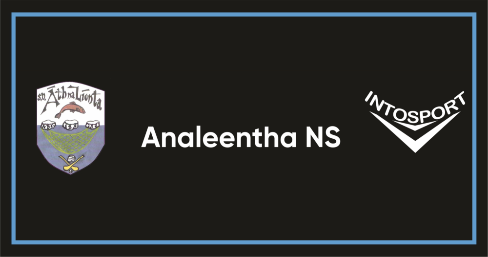 ANALEENTHA-NS---CORK-SCHOOL-HALF-ZIP-STANDARD-BANNER