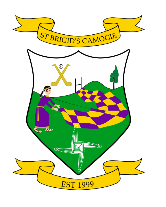 St. Brigid's Camogie Laois