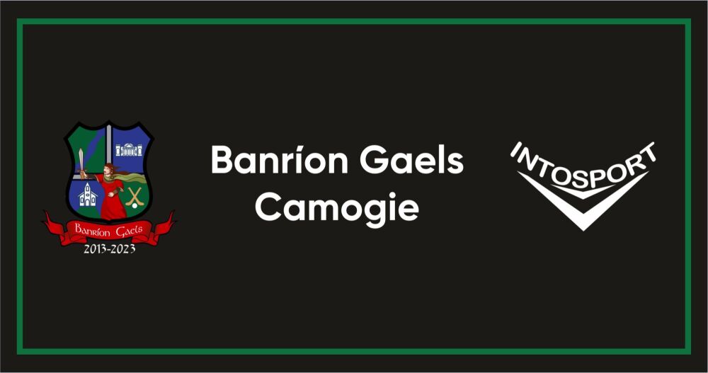 BANRION GAELS CAMOGIE - LAOIS - common header