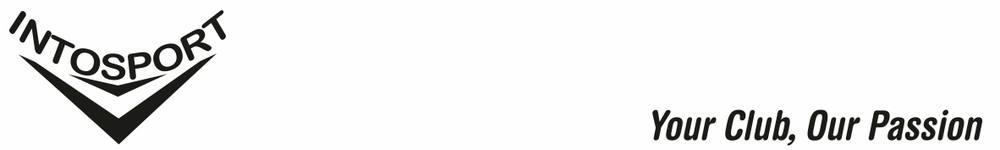 intosport.ie, site logo.