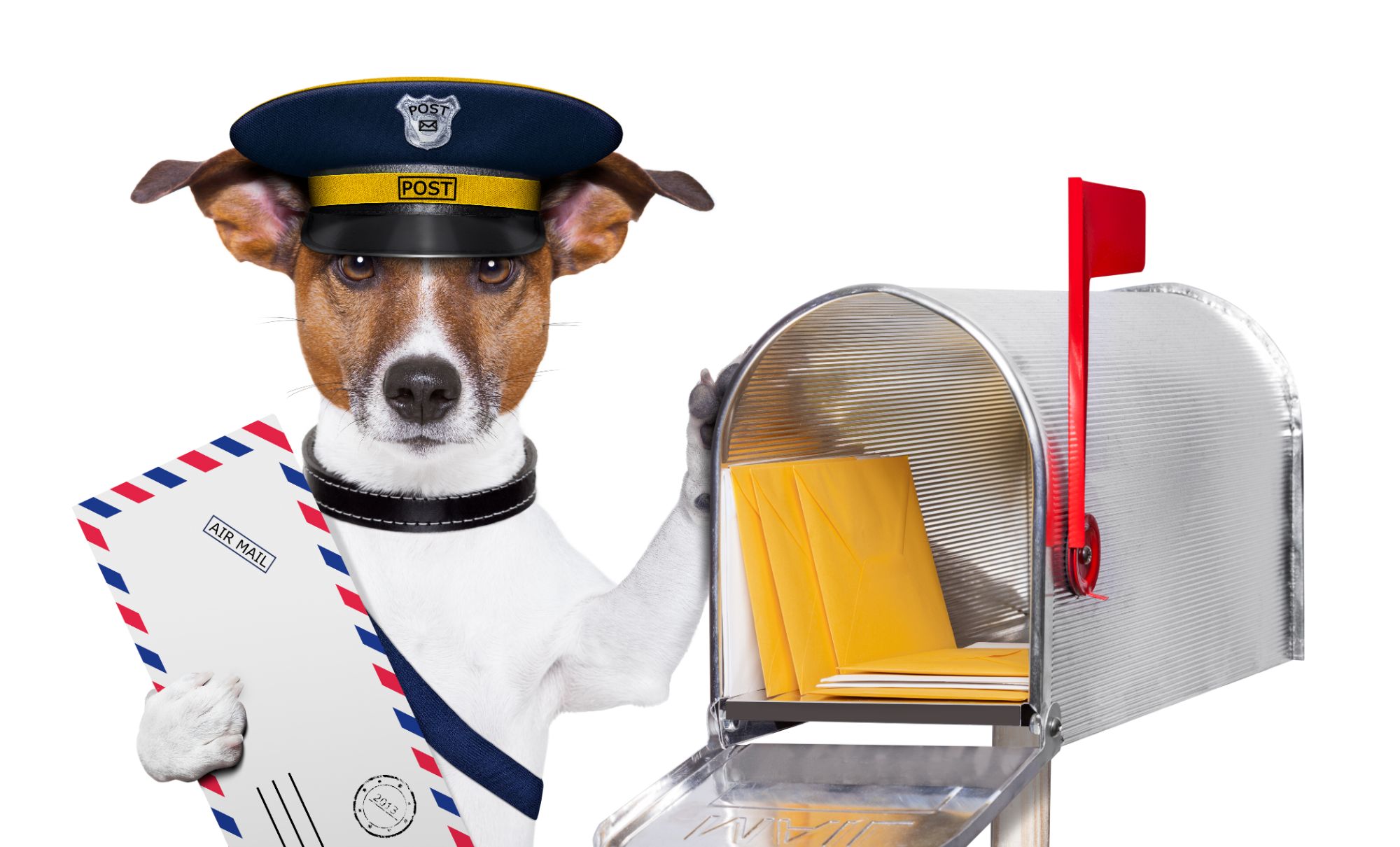 Dog at Mail Box With Mail