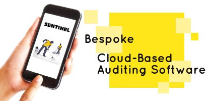 Sentinel-Cloud-Based Auditing Software