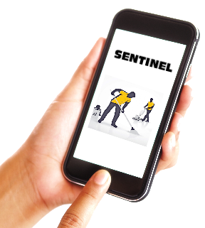 Sentinel-Cloud-Based Auditing Software -Newark