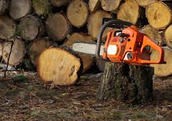 tree_surgeon3