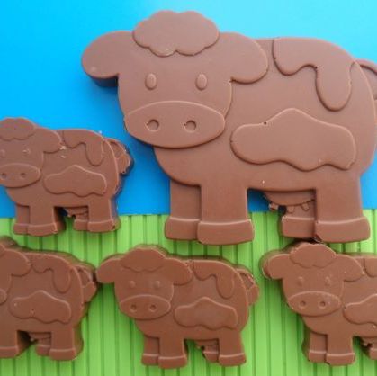 Chocolate Cow and Calves
