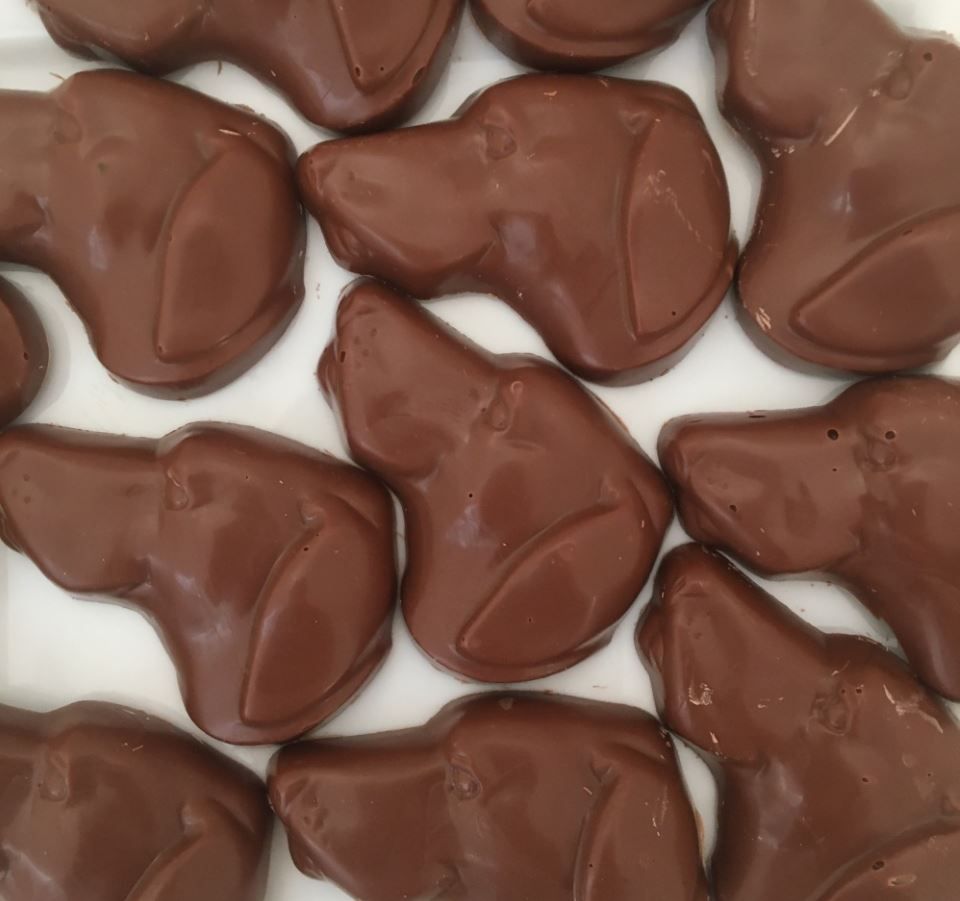 chocolate Labrador shapes