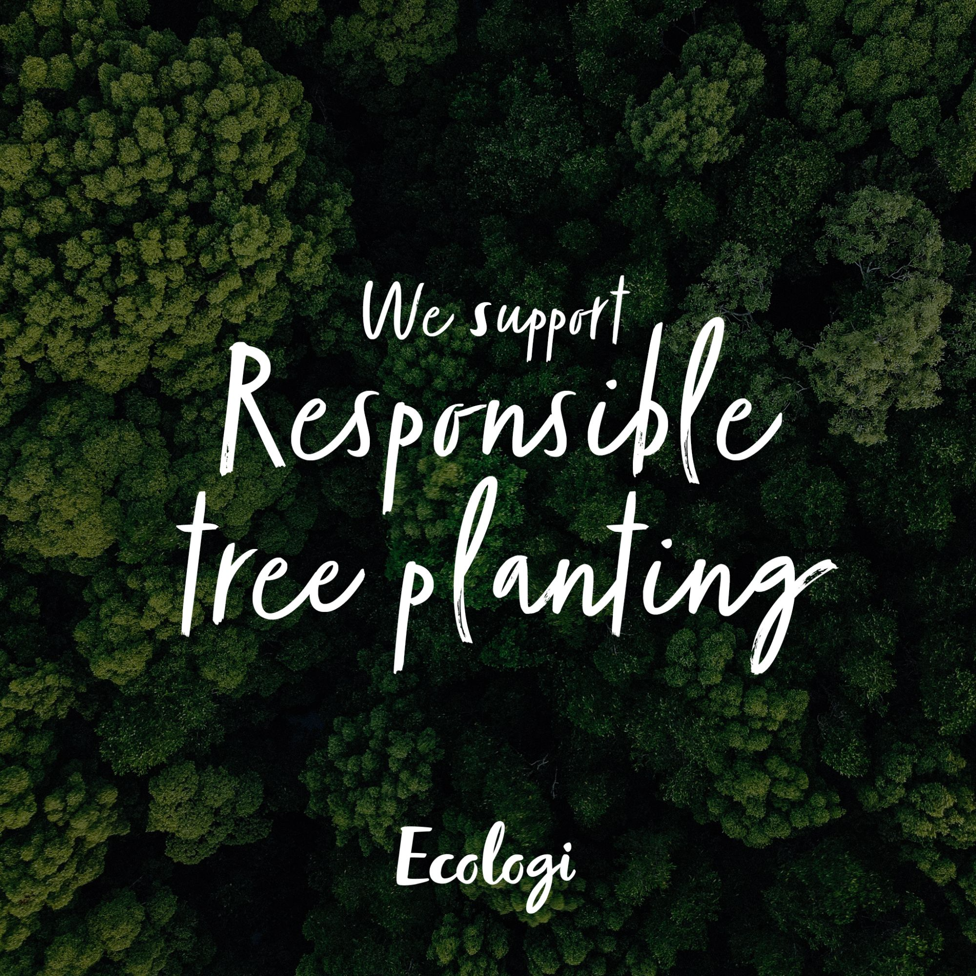 Ecologi logo