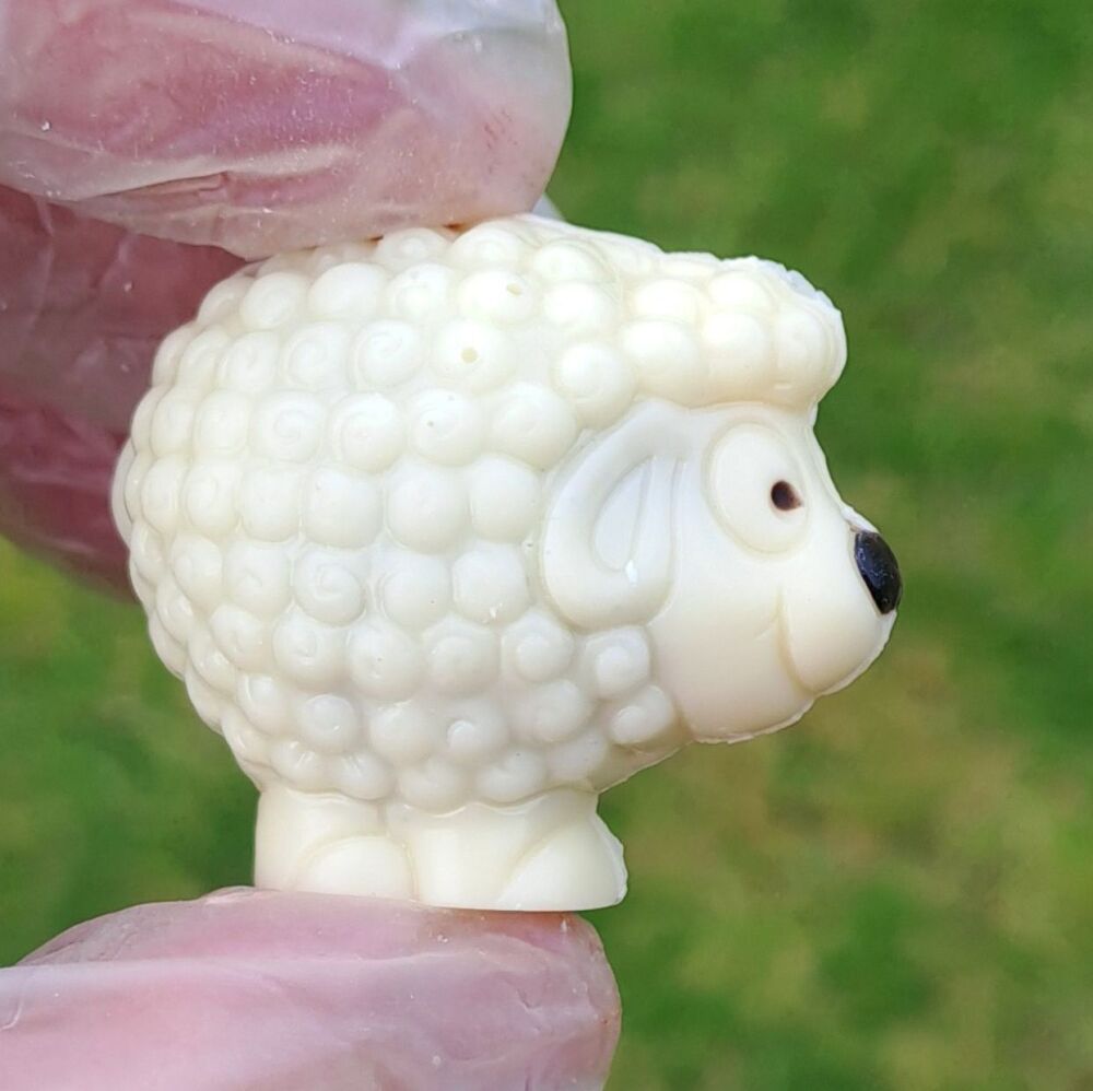 Salted Caramel Sheep