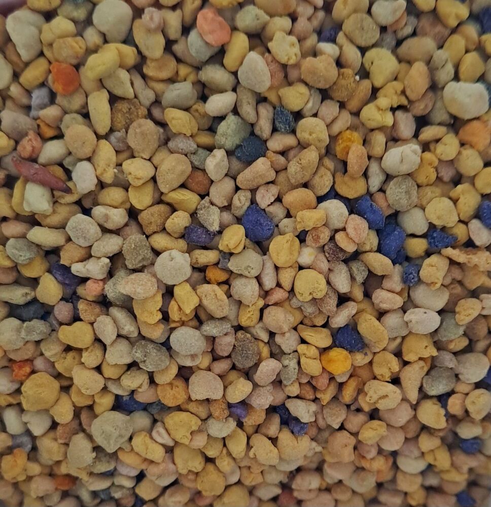 Bee Pollen and Pecan Chocolate Bar