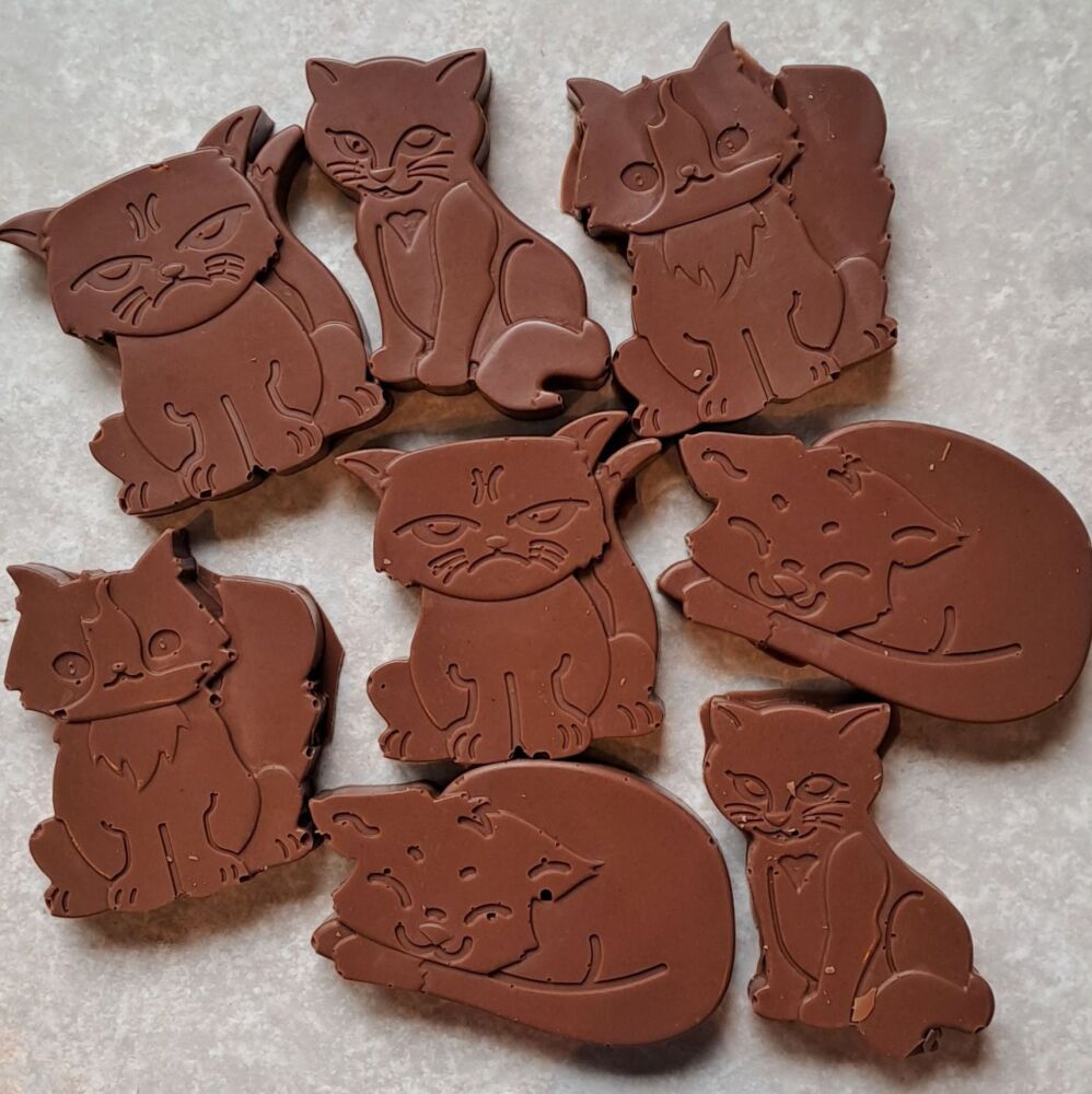 Chocolate Cats