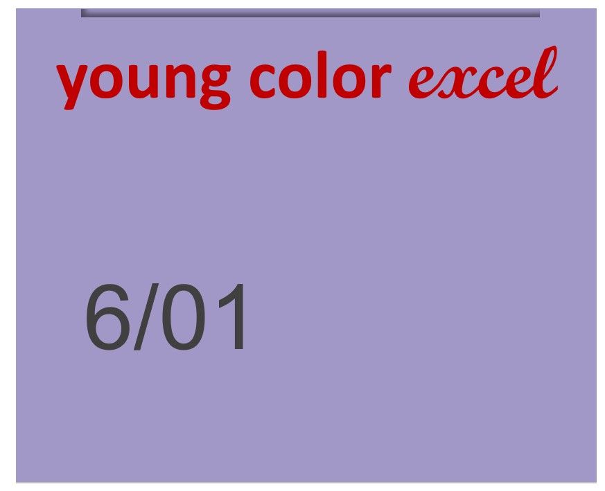 Young Color Excel 70ml 6/01