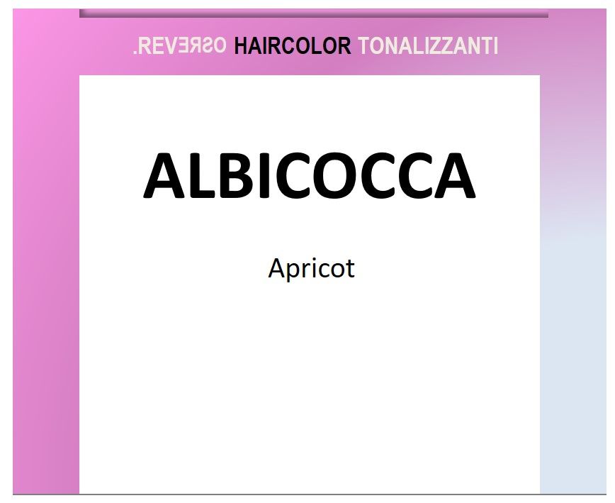 Reverso 100ml Toner Apricot