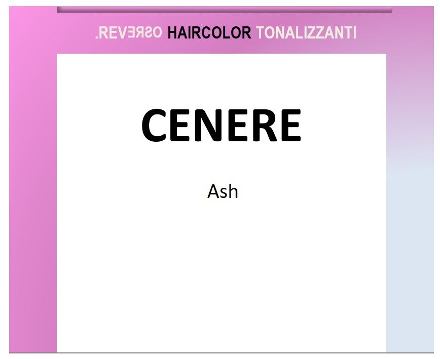 Reverso 100ml Toner Ash