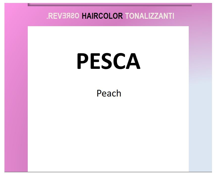 Reverso 100ml Toner Peach