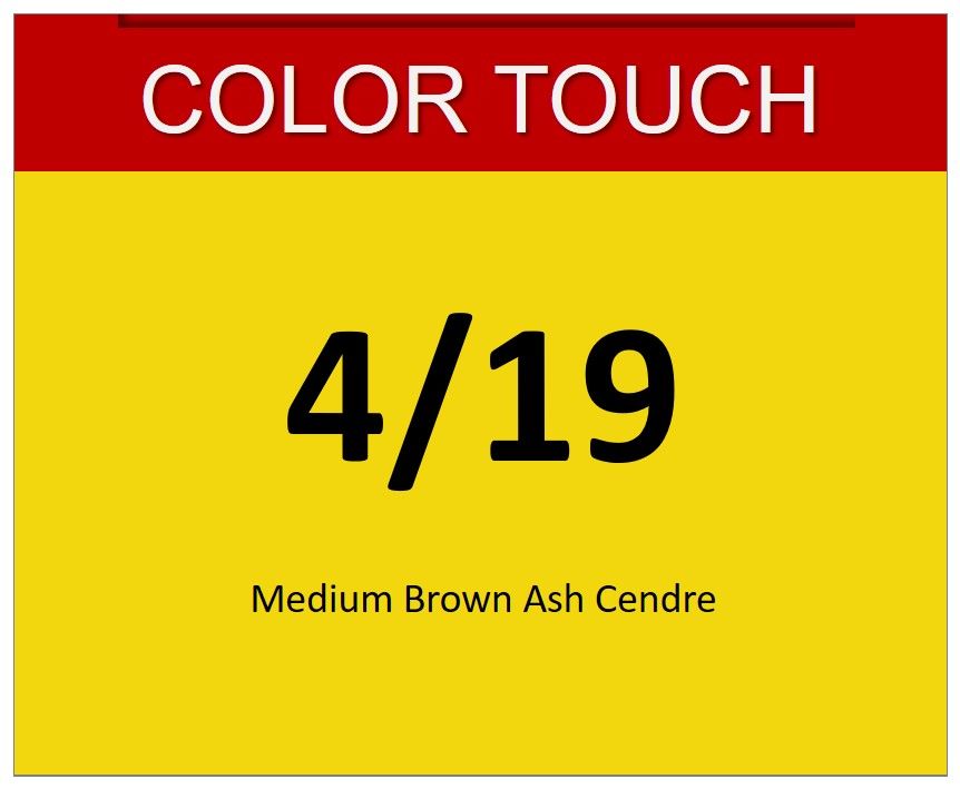 Color Touch 60ml 4/19