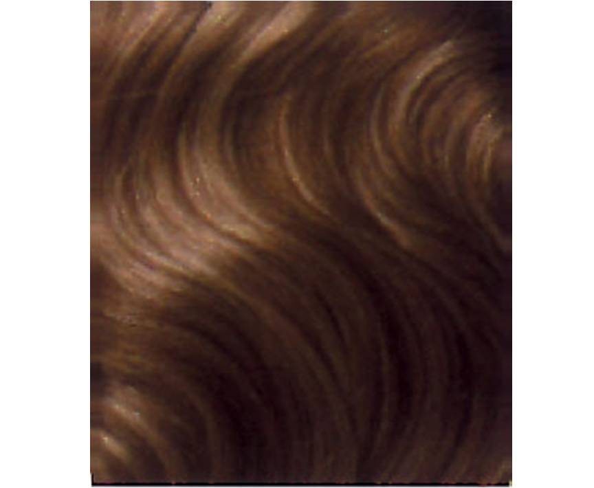 Balmain Hair Pre Bonded Extensions 40cm 50 Pack #L6