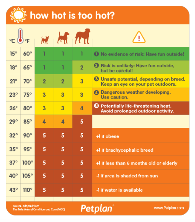 temperature chart for walking dogs