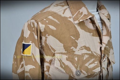 Desert DPM Combat Shirt RLC 102LogsBde  (190/104)
