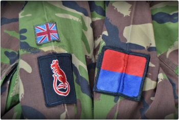 DPM Combat Jacket/Shirt (170/88) RA 7AmdBde