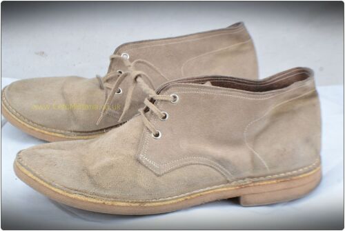 Boots - Desert (10?)