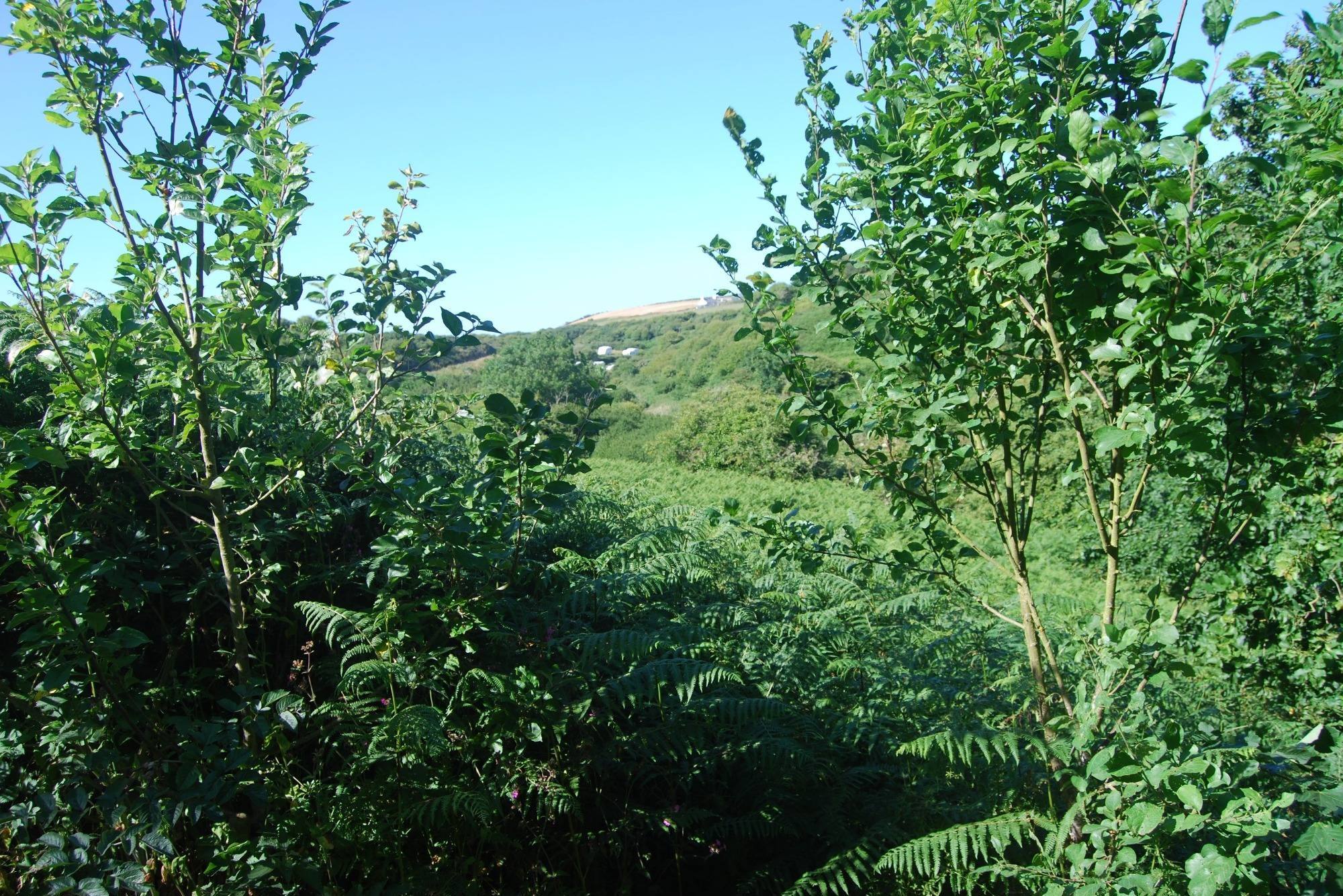 Inland view from hillside path