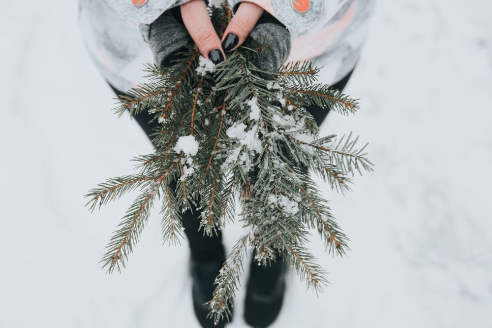 winter hands