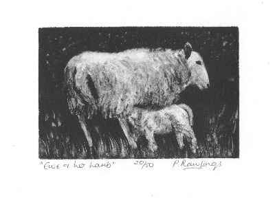 Ewe and Her Lamb