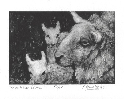 Ewe and Her Lambs
