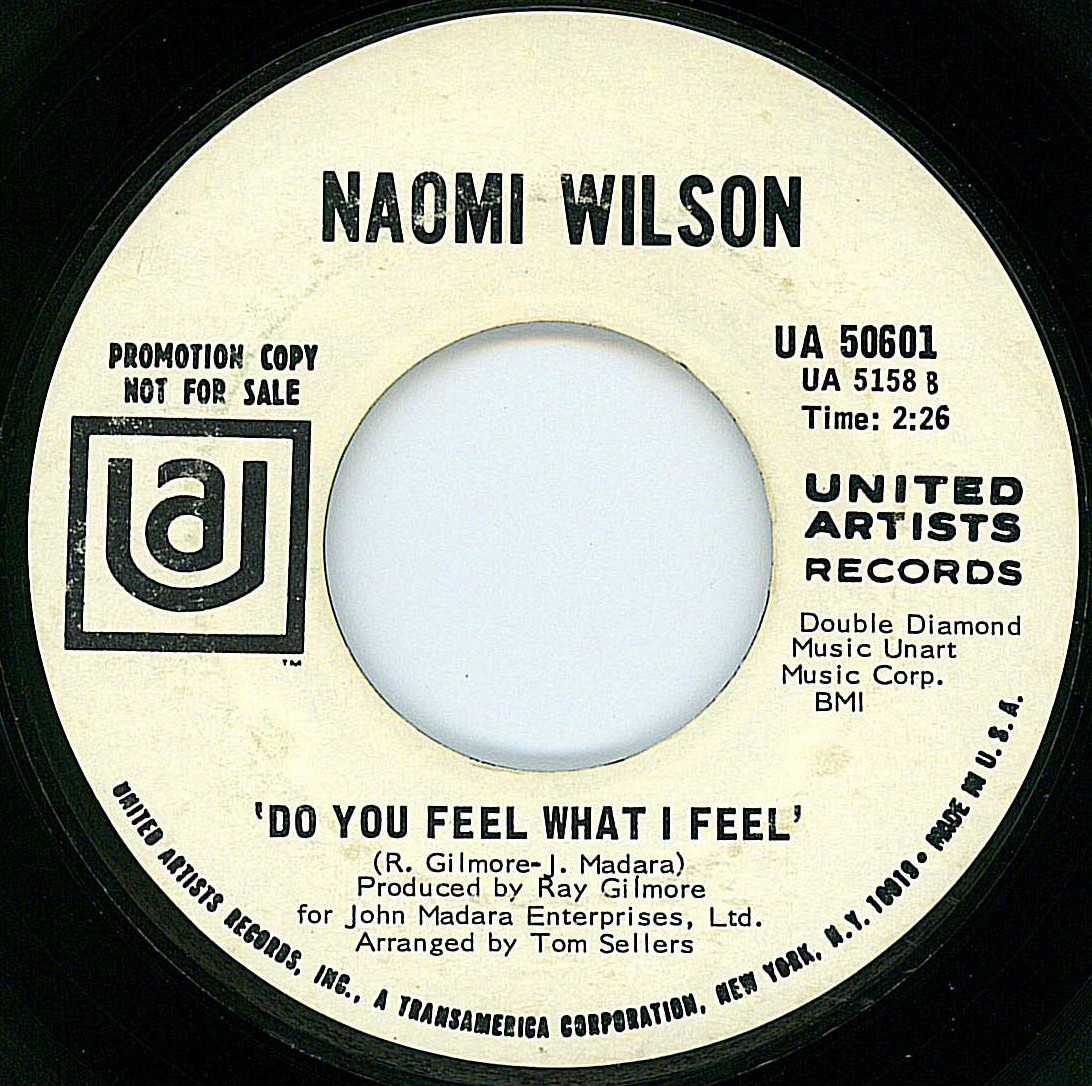 Naomi Wilson - Do You Feel What I Feel