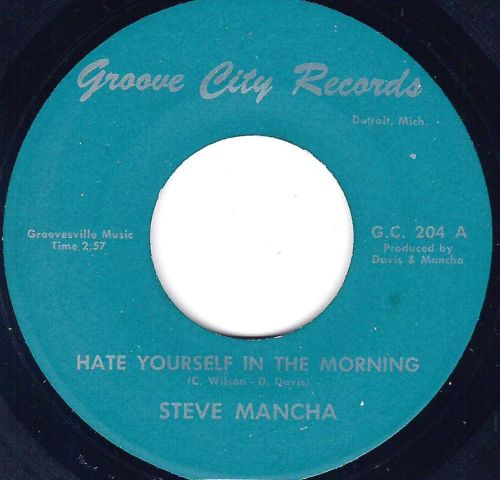 STEVE MANCHA - HATE YOURSELF IN THE MORNING