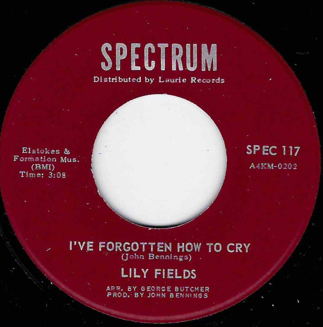 LILY FIELDS - I'VE FORGOTTEN HOW TO CRY