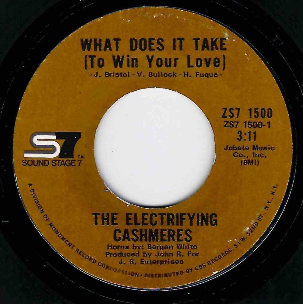 ELECTRIFYING CASHMERES -WHAT DOES IT TAKE (TO WIN YOUR HEART)
